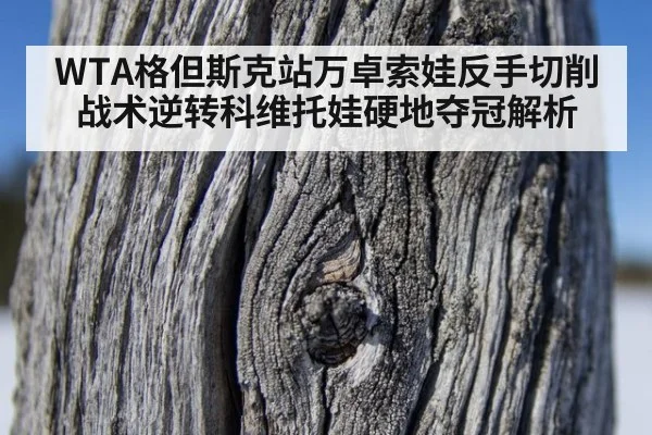 WTA格但斯克站万卓索娃反手切削战术逆转科维托娃硬地夺冠解析